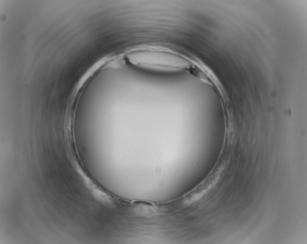 X0000087630909200705241212