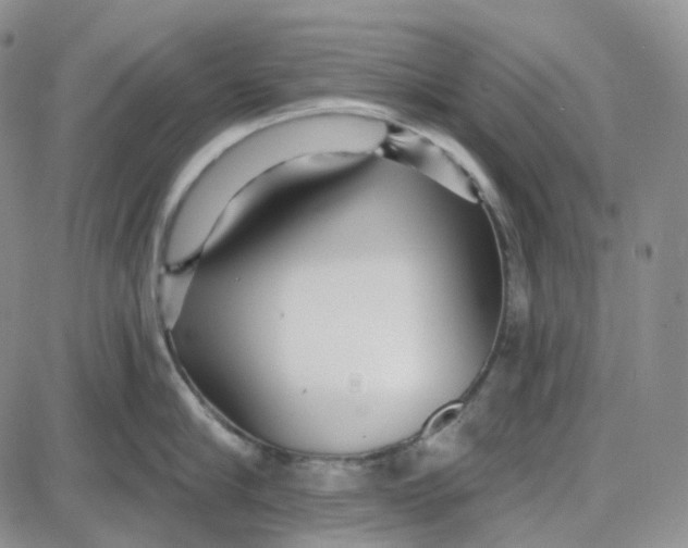 X0000087630910200705241212