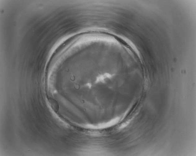 X0000087630911200705241212