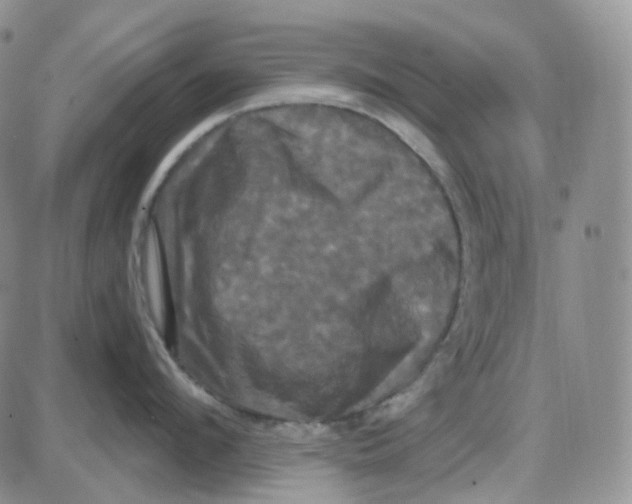 X0000087630912200705241212