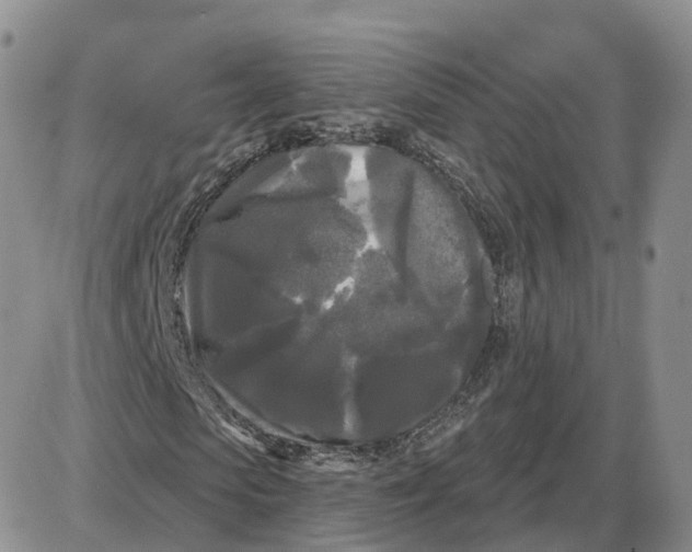 X0000087630913200705241211