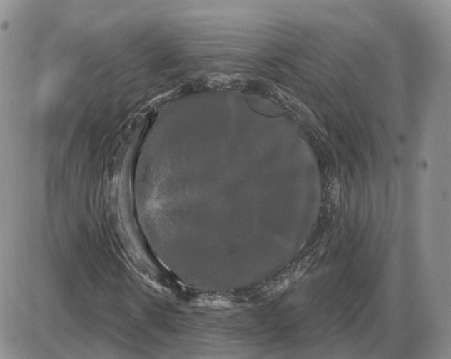 X0000087630914200705241211