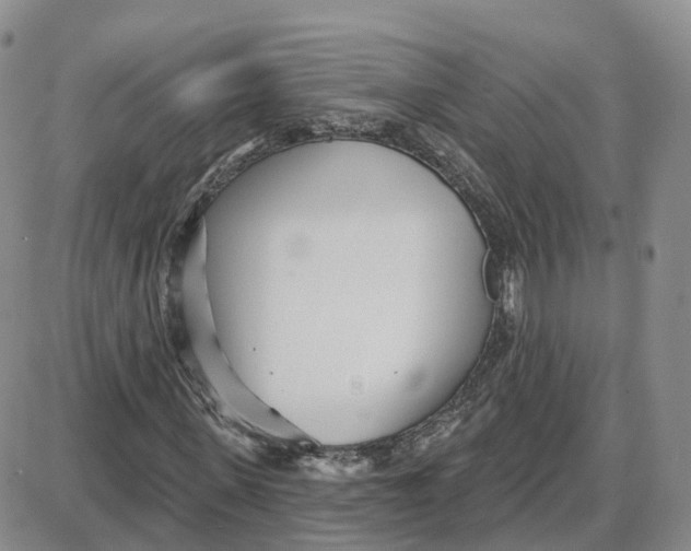 X0000087630915200705241211