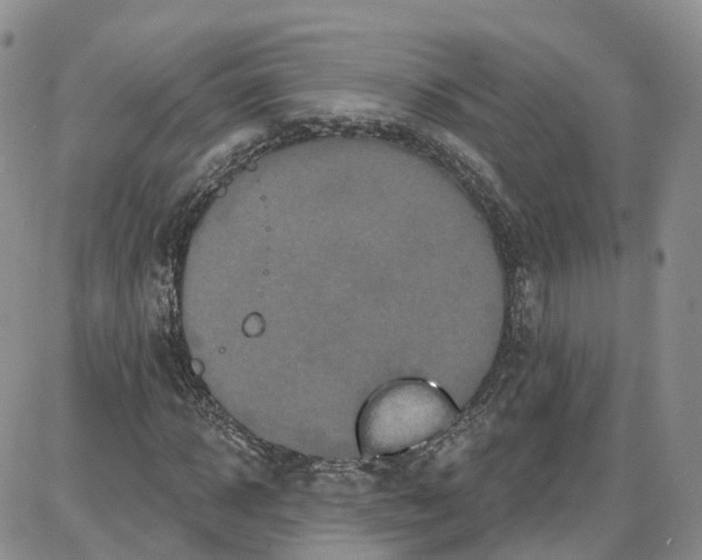 X0000087630918200705241211