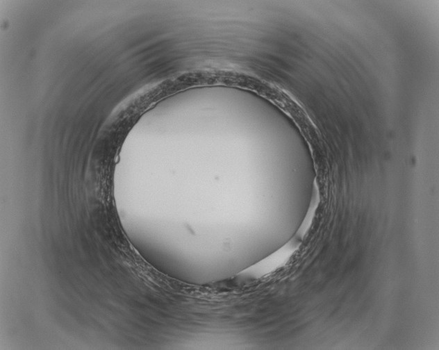 X0000087630919200705241211