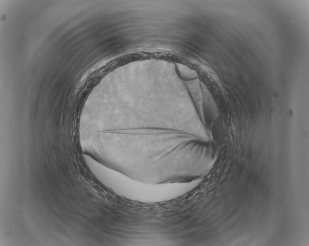 X0000087630920200705241211