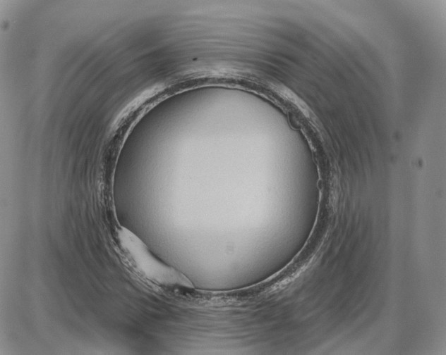 X0000087630922200705241211