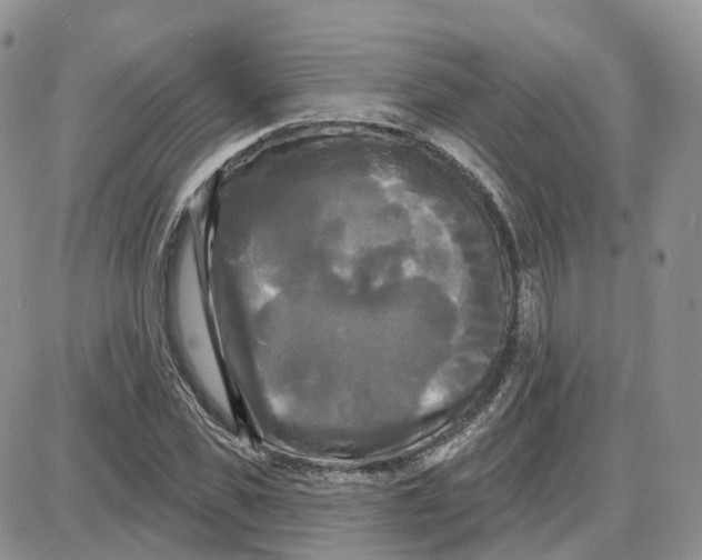 X0000087630925200705241211