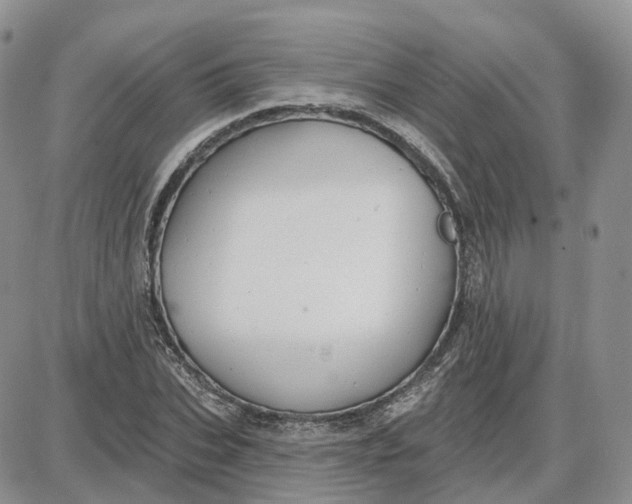 X0000087630927200705241211