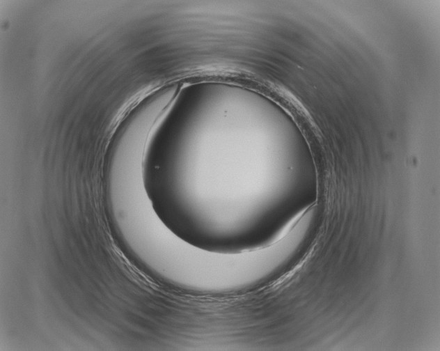 X0000087630930200705241211