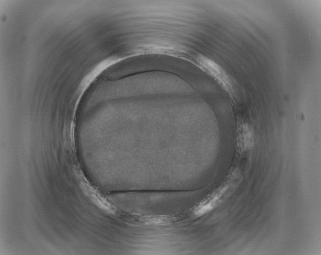 X0000087630932200705241211