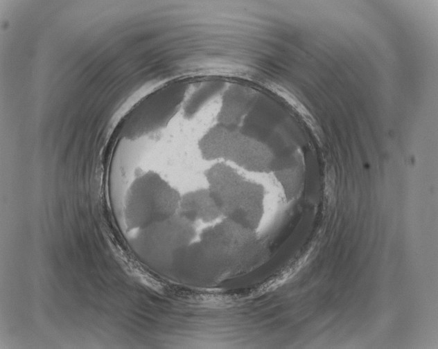 X0000087630933200705241211