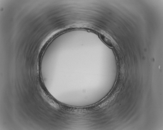 X0000087630934200705241211