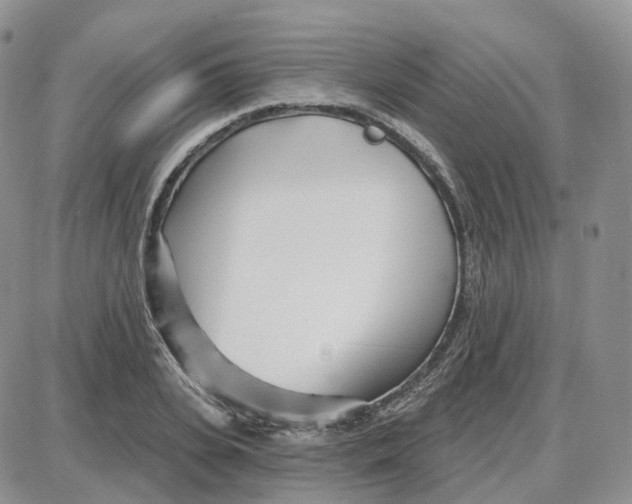 X0000087630935200705241211