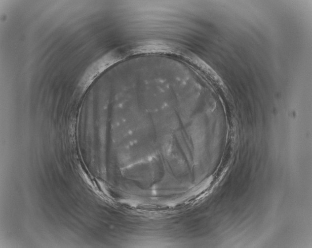 X0000087630937200705241211