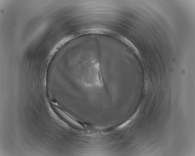 X0000087630938200705241211