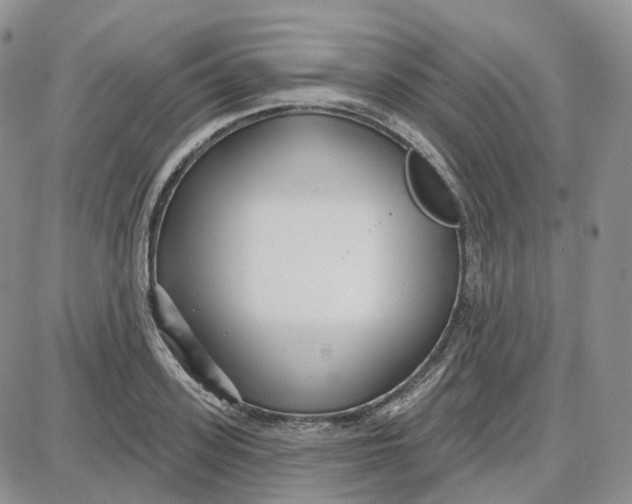 X0000087630939200705241211