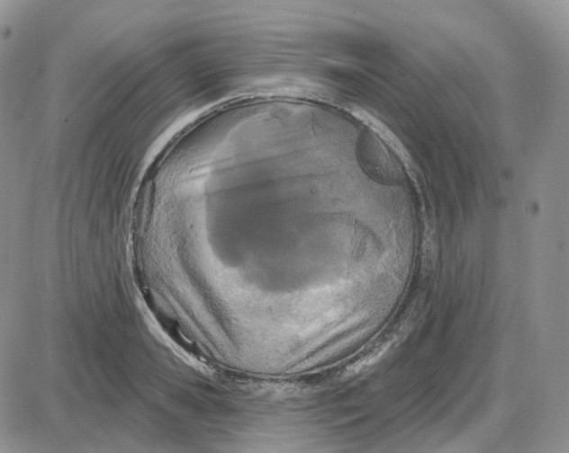 X0000087630941200705241211