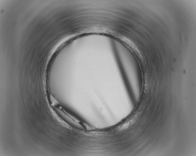 X0000087630942200705241211