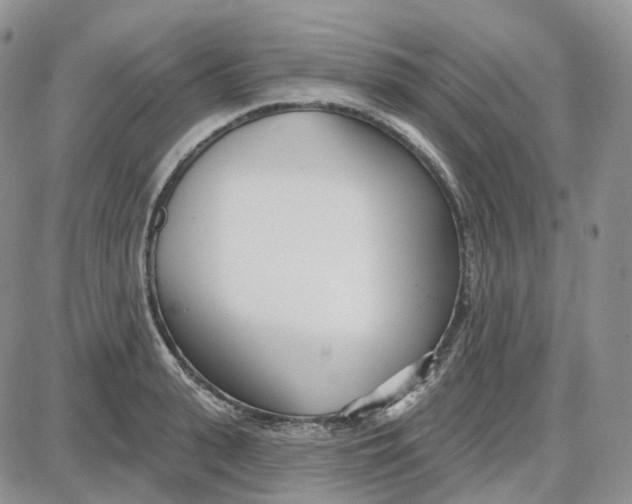 X0000087630943200705241211