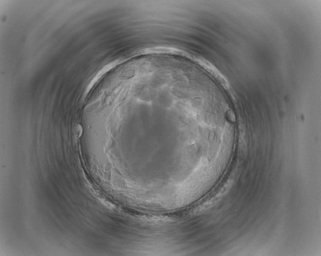 X0000087630945200705241211