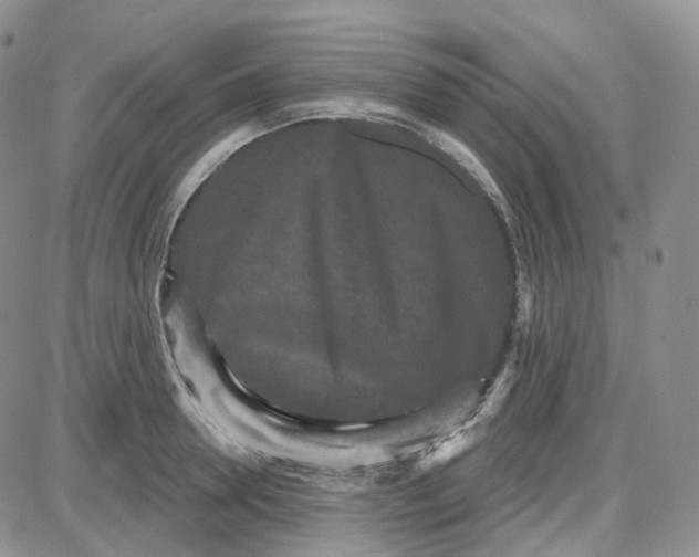 X0000087630946200705241211