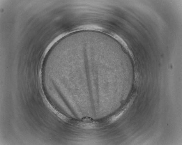 X0000087630947200705241211