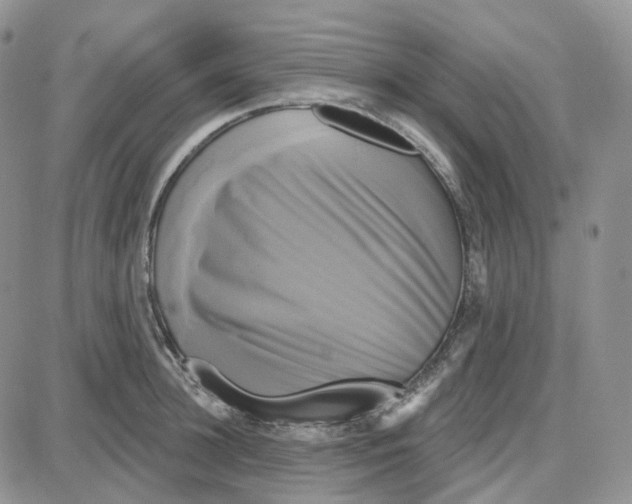 X0000087630948200705241211