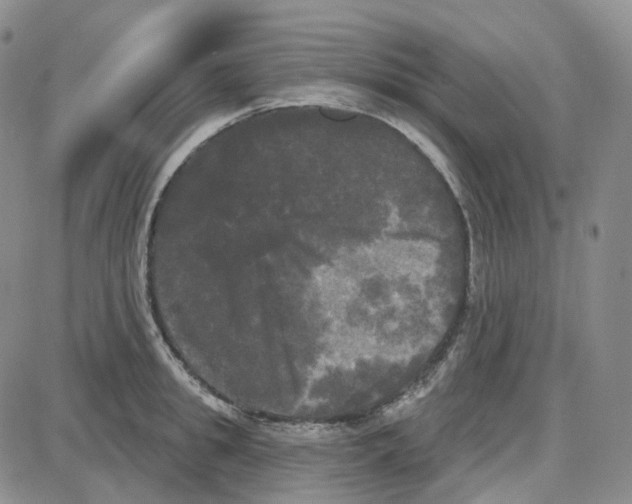 X0000087630949200705241211