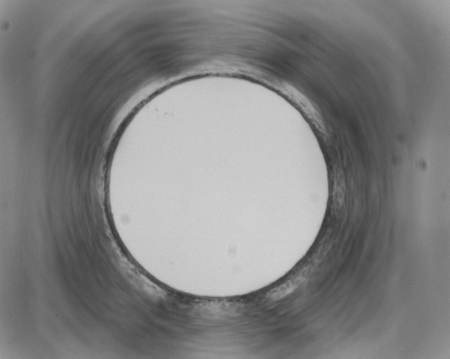 X0000087630950200705241211