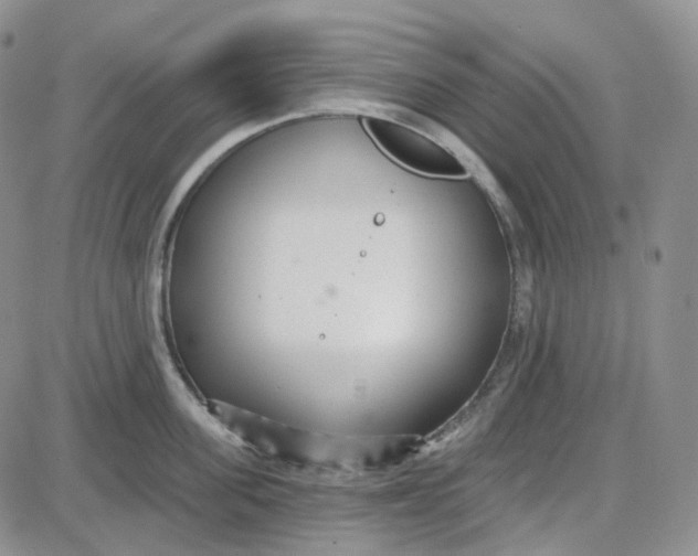 X0000087630955200705241211