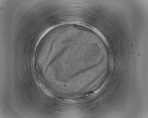 X0000087630956200705241211