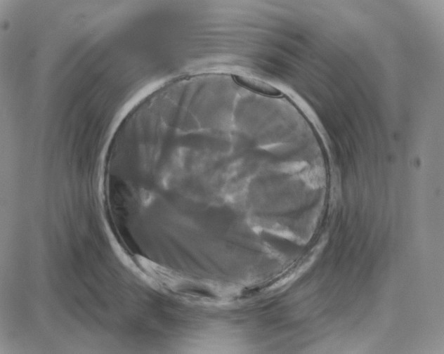 X0000087630957200705241212