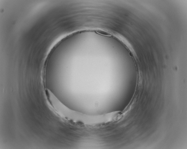 X0000087630958200705241212