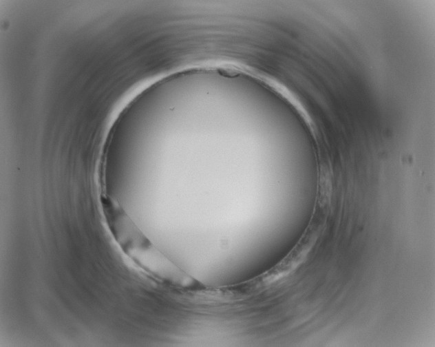 X0000087630959200705241212