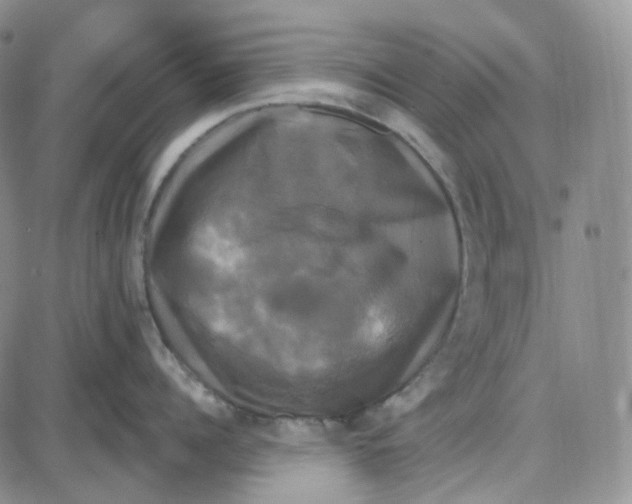 X0000087630960200705241212