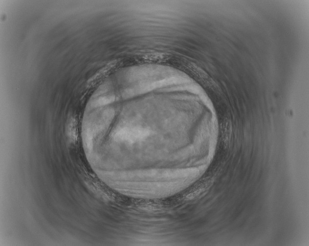 X0000087630962200705241211