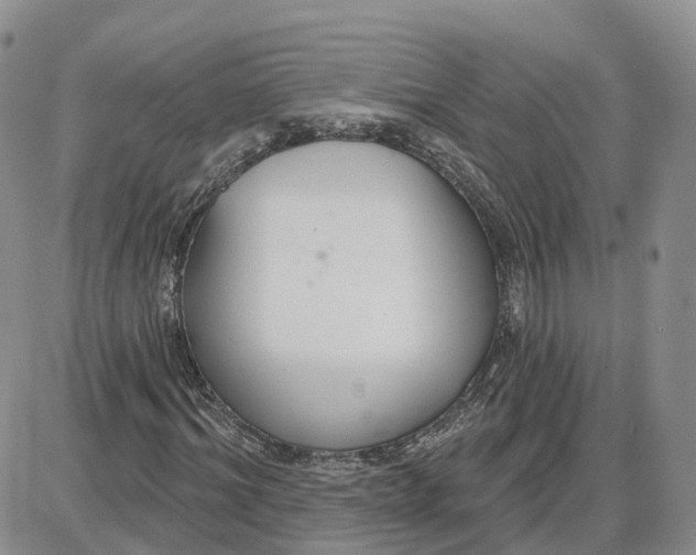 X0000087630964200705241211