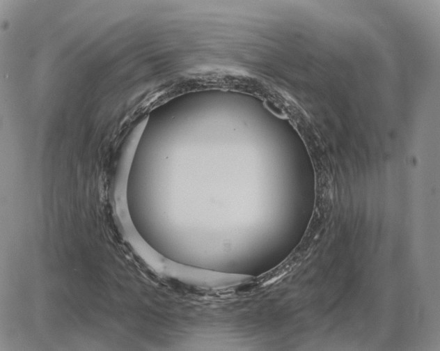 X0000087630965200705241211