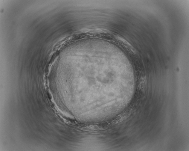 X0000087630966200705241211