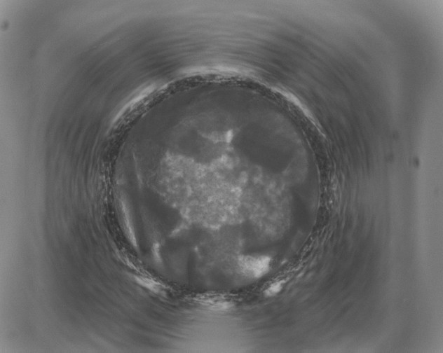 X0000087630967200705241211