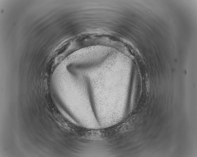 X0000087630968200705241211