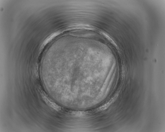 X0000087630970200705241211