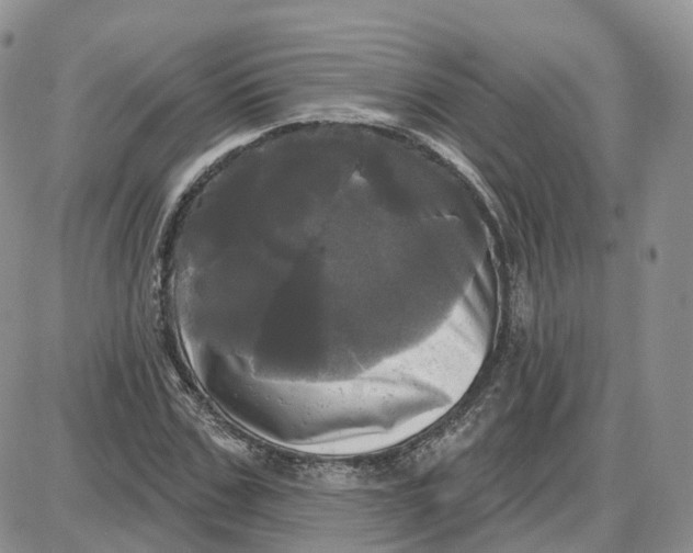 X0000087630971200705241211