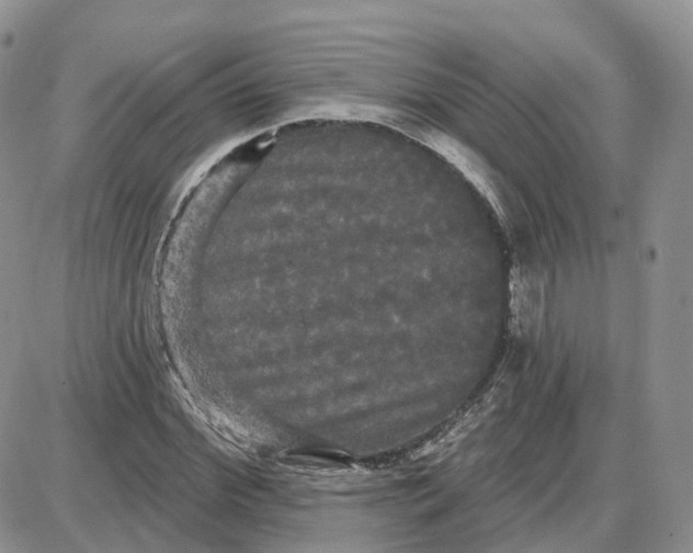 X0000087630972200705241211