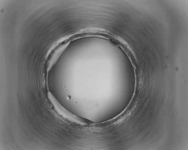 X0000087630973200705241211