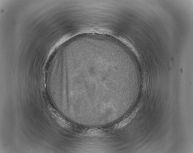 X0000087630974200705241211