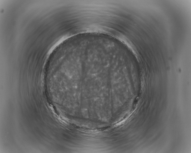 X0000087630975200705241211