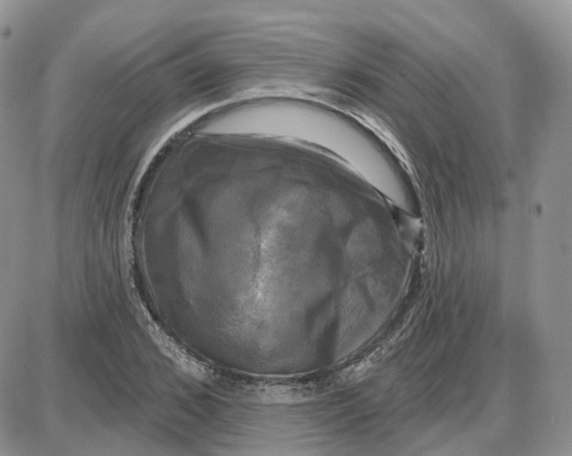 X0000087630976200705241211