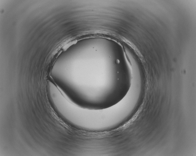 X0000087630977200705241211